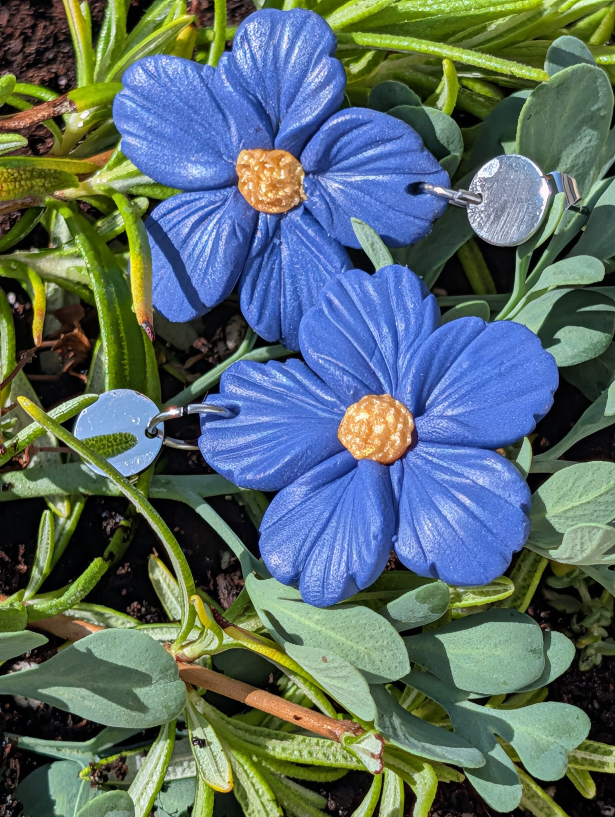 Aretusa